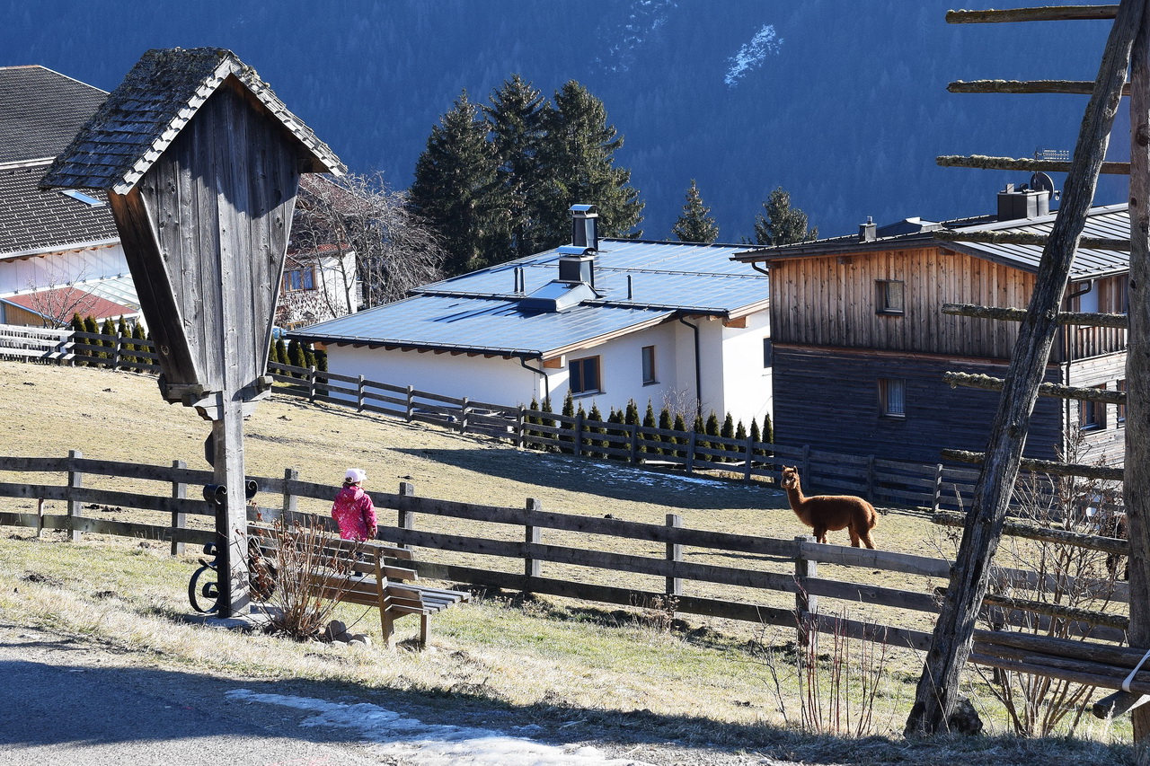 альпийская деревня 1 января