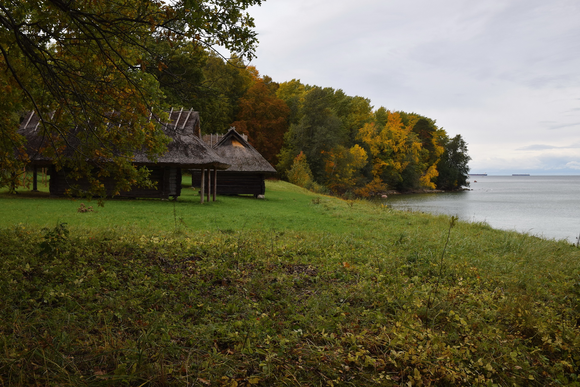 Эстонский хутор на берегу финского залива