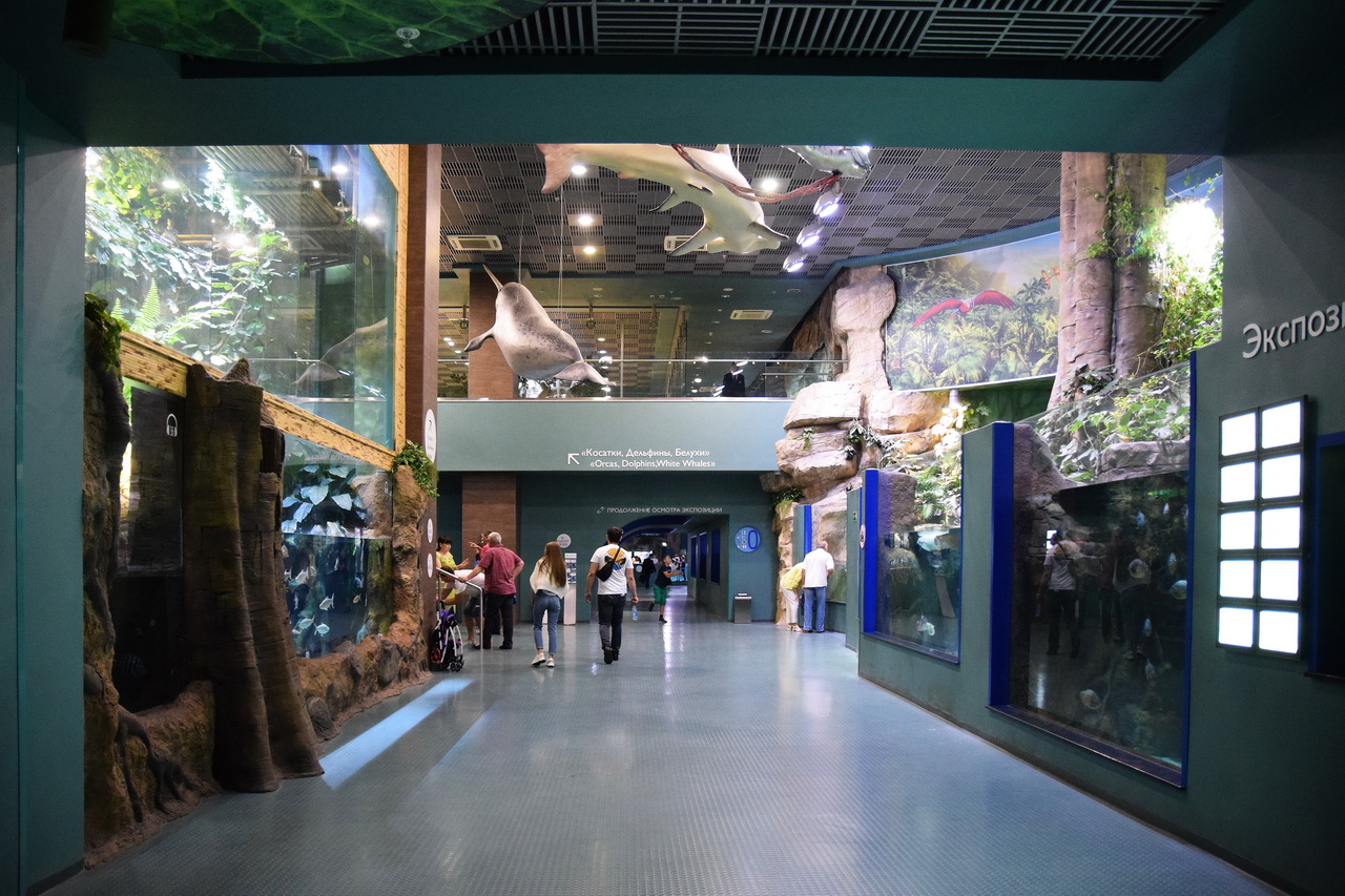 экспозиции аквариума