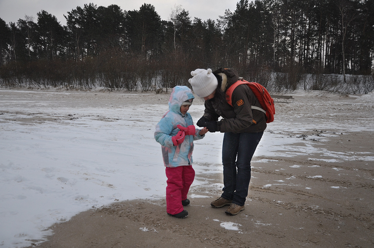 сбор ракушек на зимнем пляже