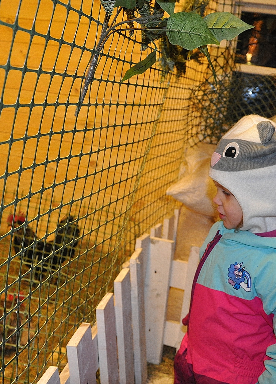 Ярмарка, Путешествие в Рождество