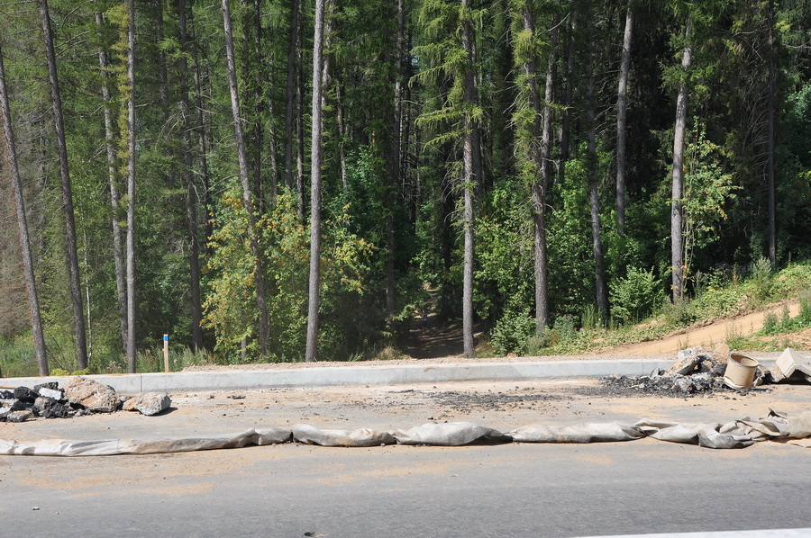 дорожка от деревни Клушино до Менделеево