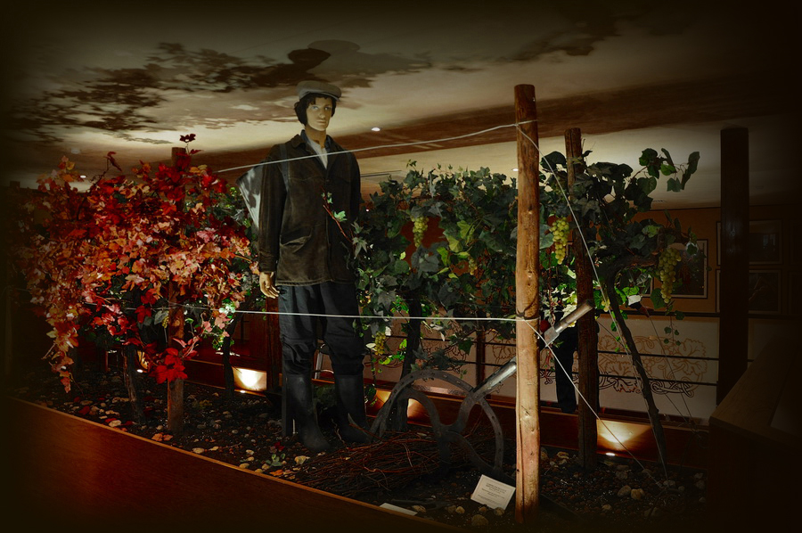 сбор винограда инсталляция музея истории коньяка