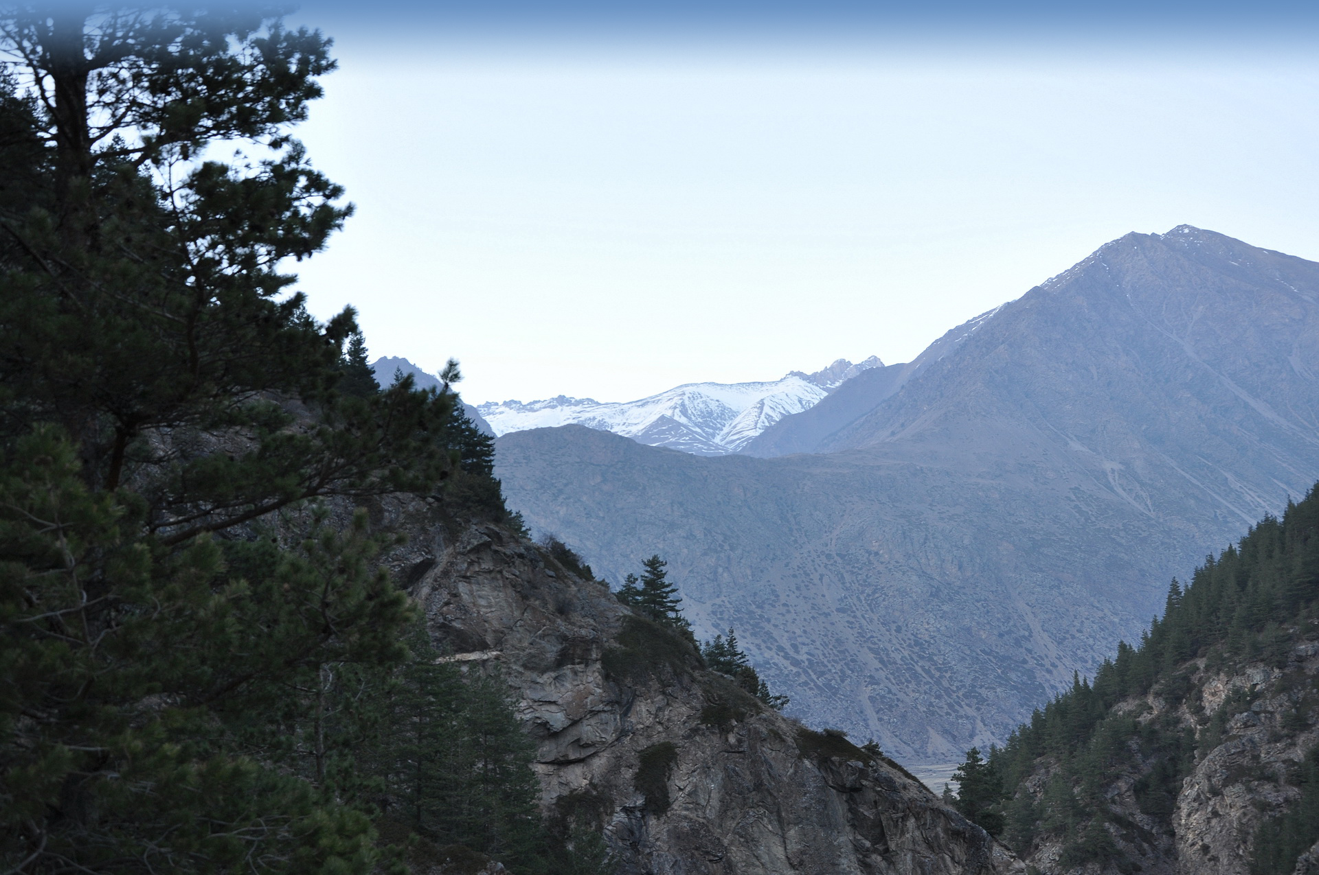 кавказские горы