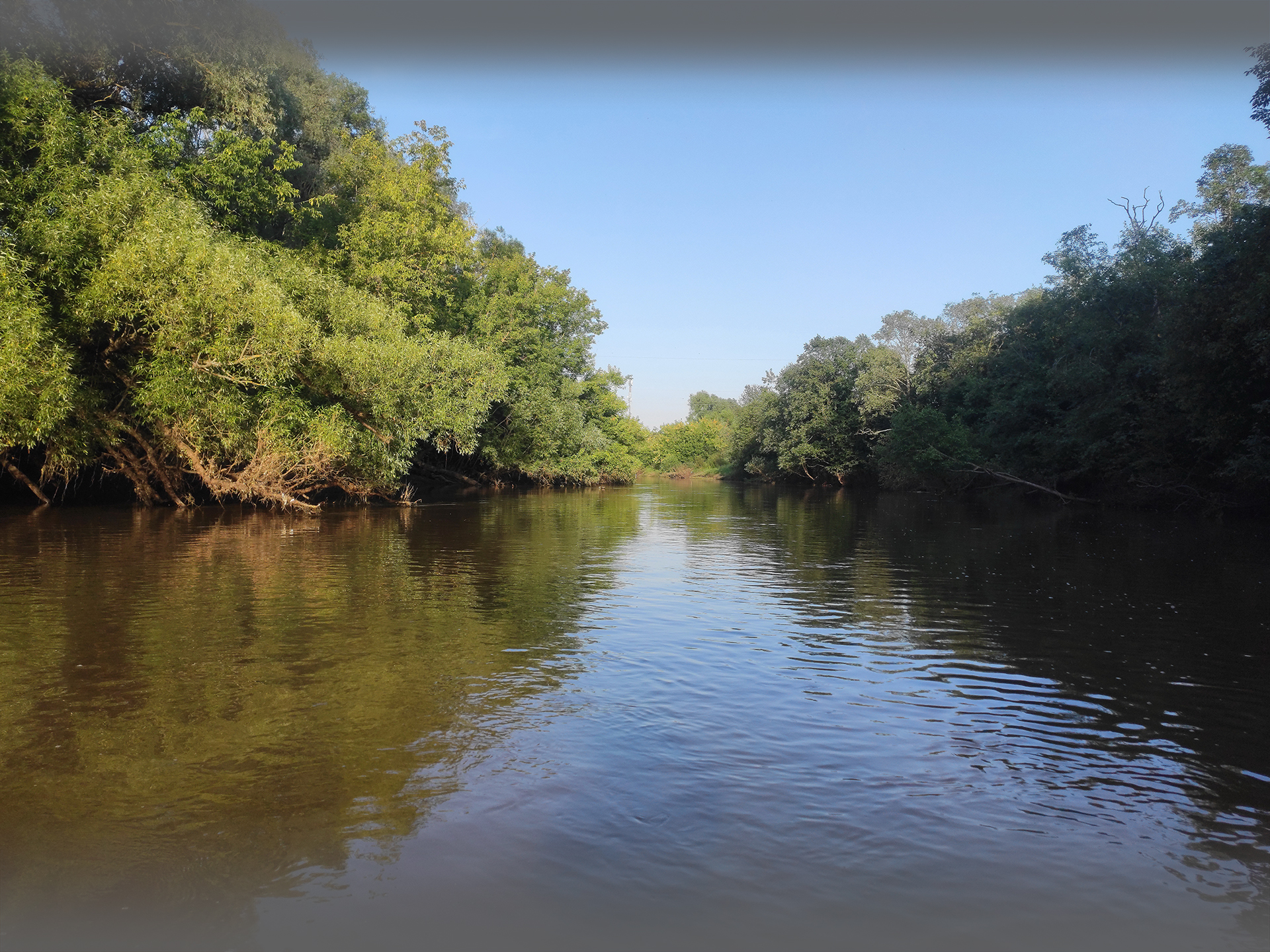 река Истра в Подмосковье